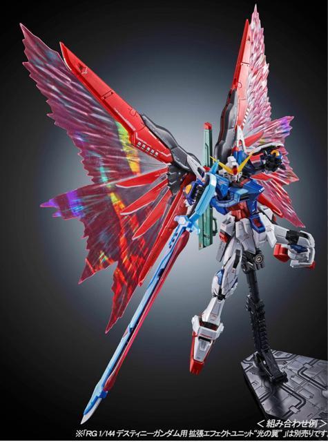 限定 RG  デスティニーガンダム チタニュウムフィニッシュ < ホビー  限定 RG  デスティニーガンダム チタニュウムフィニッシュ < ホビーの