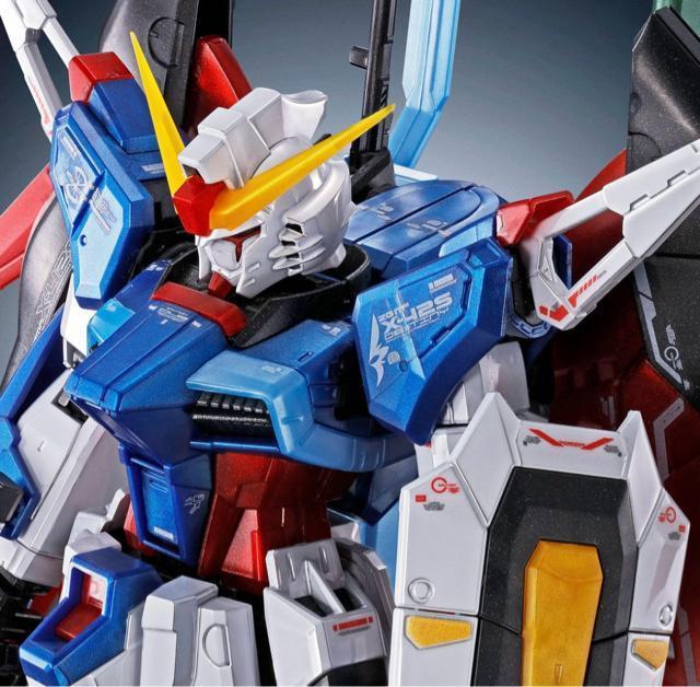 限定 RG  デスティニーガンダム チタニュウムフィニッシュ < ホビー  限定 RG  デスティニーガンダム チタニュウムフィニッシュ < ホビーの