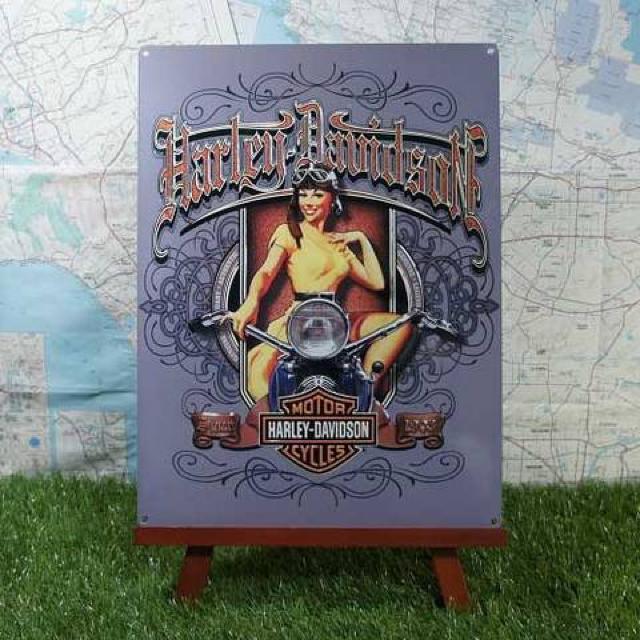 ViyuLŔzHarley-Davidson^n[[_rbh\@on Motorcycle   zr[ 