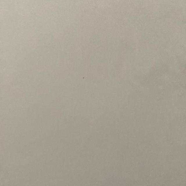 500�~���@�V�[���؎�@�؎�@�s�[�^�[���r�b�g�@����