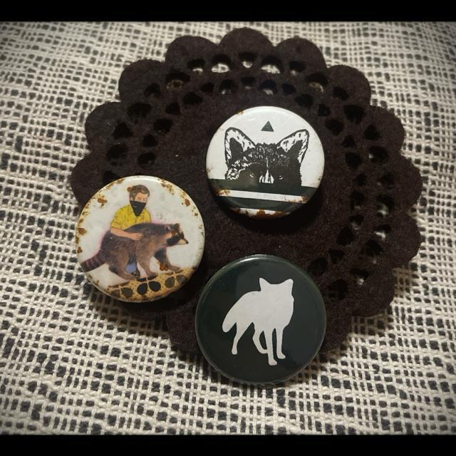 A!? OteBA[eBXg KYNE Ll ACO} ʃob` 3Zbg KYNE-girl Xg[g