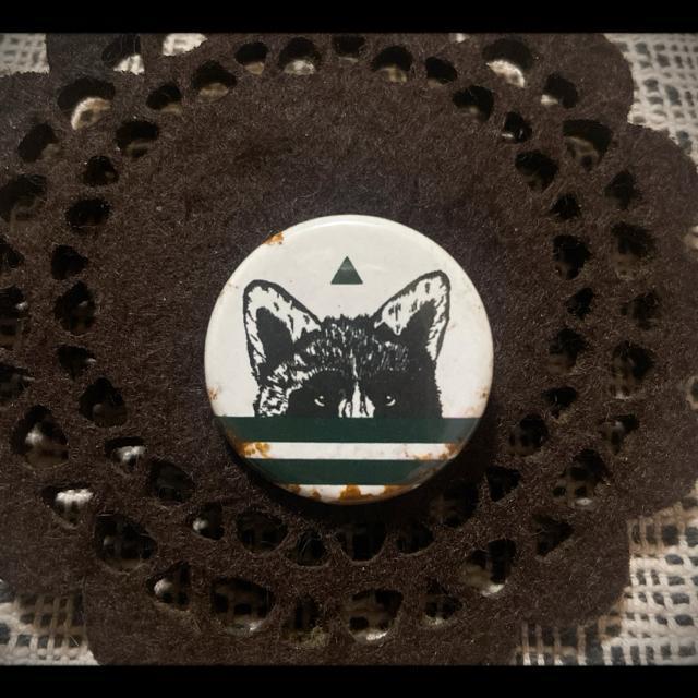 A!? OteBA[eBXg KYNE Ll ACO} ʃob` 3Zbg KYNE-girl Xg[g