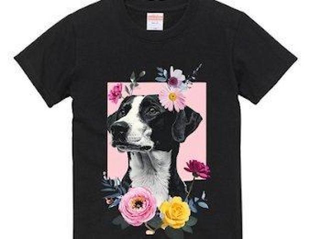 nCNIeB[ TVc TVc ԕTVc CXg O   t@bV 