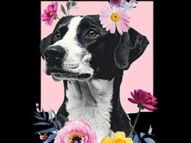 nCNIeB[ TVc TVc ԕTVc CXg O  t@bV 