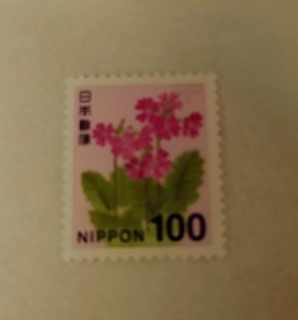 100�~�؎�@1��  �� �z�r�[�� 