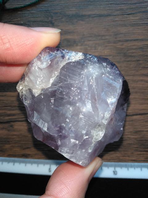 �A���W�X�g���� �� �C���e���A/���C�t�� 