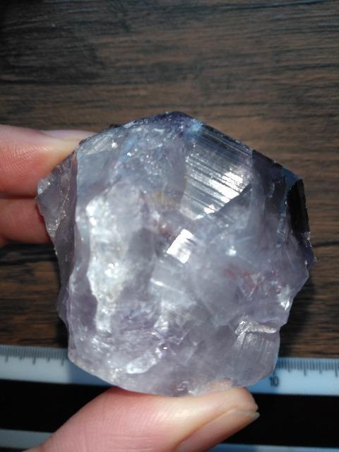 �A���W�X�g���� �� �C���e���A/���C�t�� 