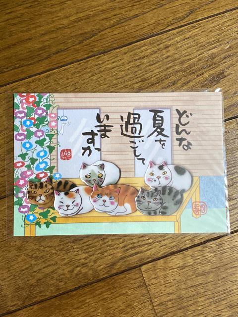 ネコ☆ポストカード☆どんな夏を過ごしていますか☆ < インテリア/ライフ ネコ☆ポストカード☆どんな夏を過ごしていますか☆ < インテリア/ライフの