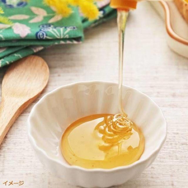 �y�J���f�B/KALDI�z�i�`�����j�[ �s���A�J�i�f�B�A���n�j�[�S�[���h(�����͂��݂�)