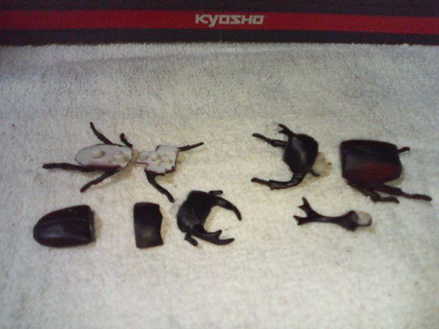 フルタ 日本の動物1 コレクション オオクワガタ カブトムシ < ホビー フルタ 日本の動物1 コレクション オオクワガタ カブトムシ < ホビーの