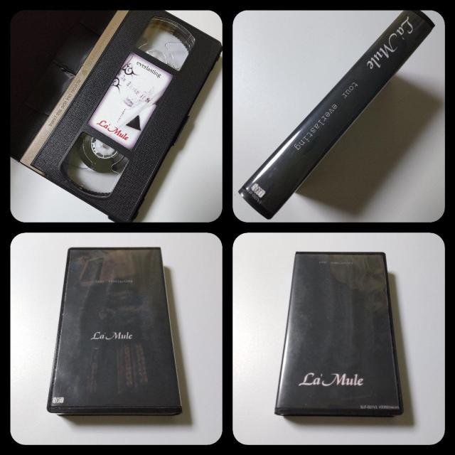 La'Mule/[XgCVHSȂǁCELL///^/Љ  ^gObY 