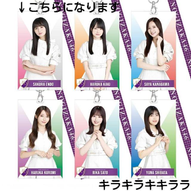 sNewt2024NLucky Bag/܁ET؍46yz`Pbgz_[  ^gObY 