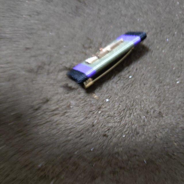 �����^�@�s���o�b�` �� �z�r�[�� 