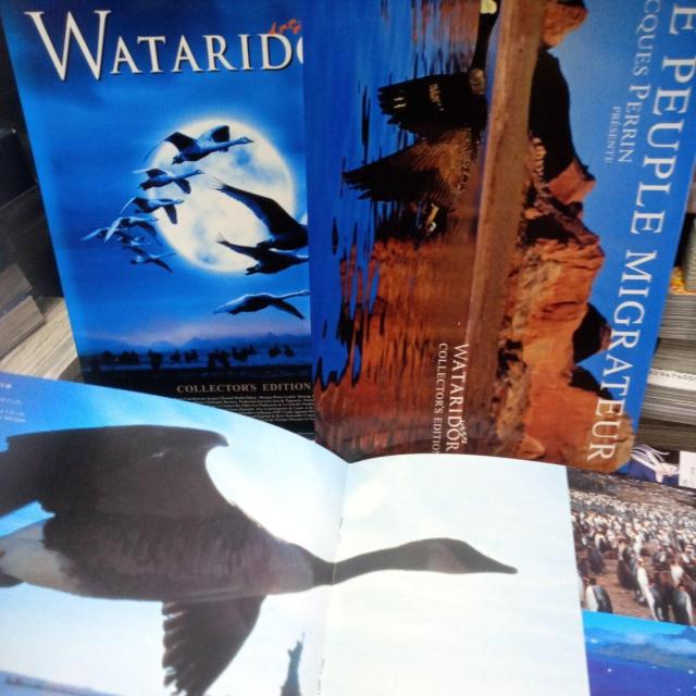 WATARIDORI�@�R���N�^�[�Y�G�f�B�V���� �� CD/DVD/�r�f�I�� 