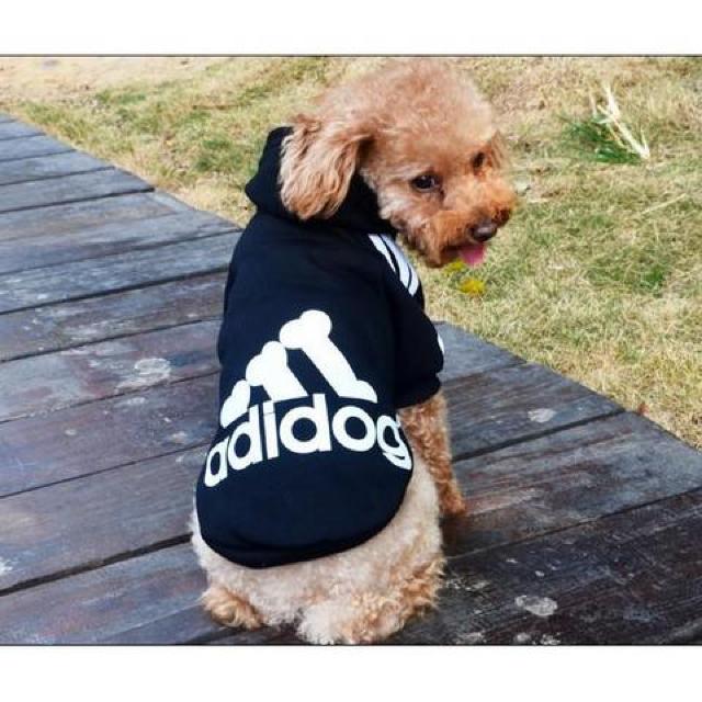 adidog 裏起毛パーカー L ブラック★新品 〜5kg位 < ペット/手芸/園芸 adidog 裏起毛パーカー L ブラック★新品 〜5kg位 < ペット/手芸/園芸の