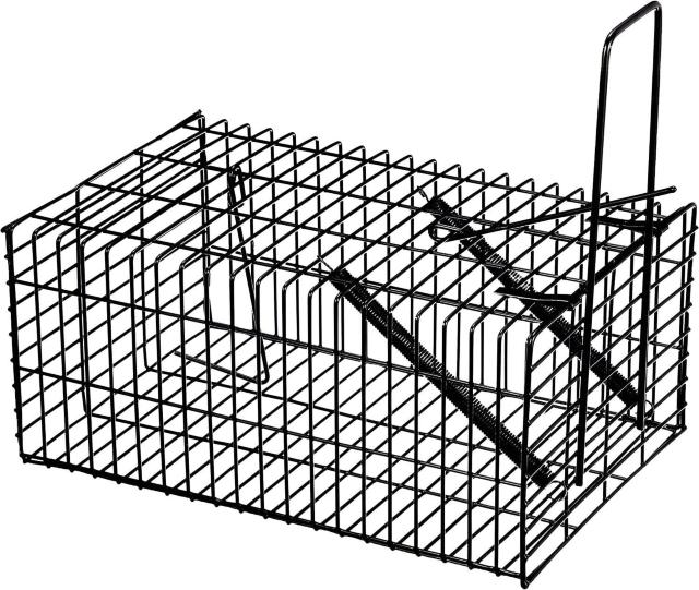 ブラック・角型ハウス < ペット/手芸/園芸  ブラック・角型ハウス  < ペット/手芸/園芸の