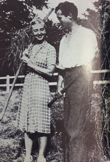 �w�����ւ̑����x�W�����E���C�E�o���[���`�I �� �{/�G���� 