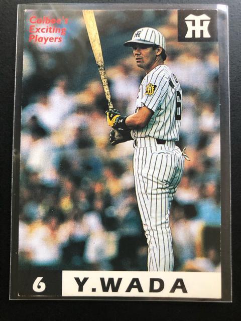 PXXWJr[싅Pe/mn-OTSE_^CK[XEacLmŃV|gvgMdJ|hn   g[fBOJ[h 