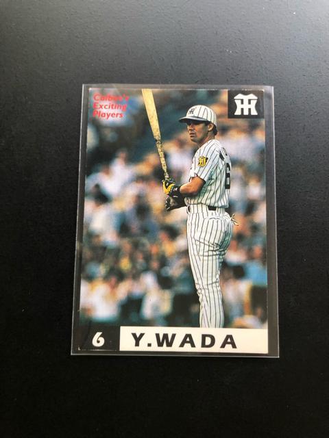 PXXWJr[싅Pe/mn-OTSE_^CK[XEacLmŃV|gvgMdJ|hn  g[fBOJ[h 