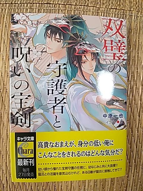 PPV@@o̎҂Ǝ􂢂̕󌕁@@@@@/   {/G 