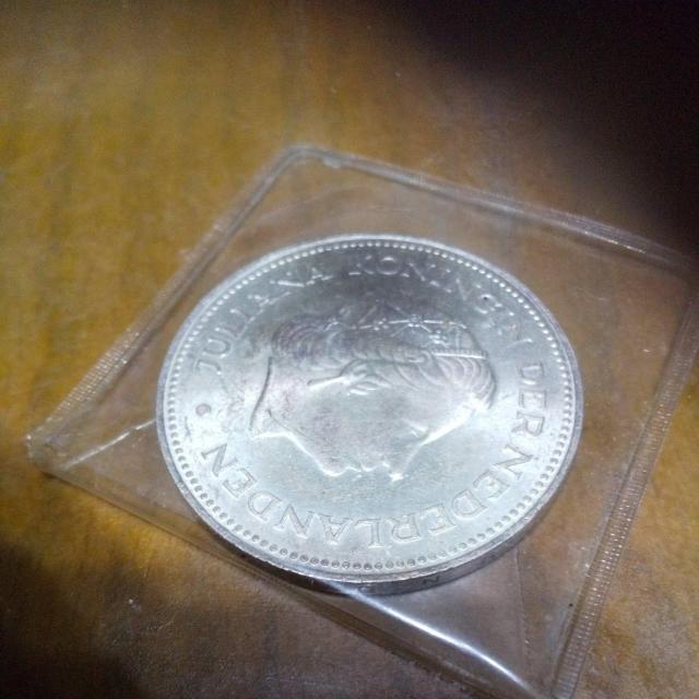 �R�C�� �� �j���A�N�Z�T���[/���v�� 