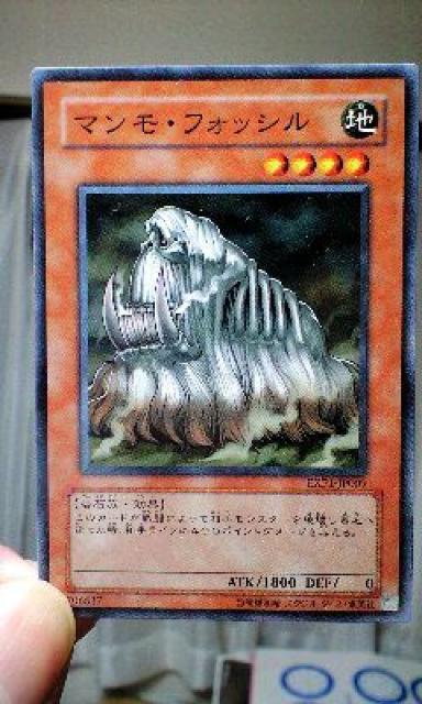 VYynE}EtHbVz   g[fBOJ[h 