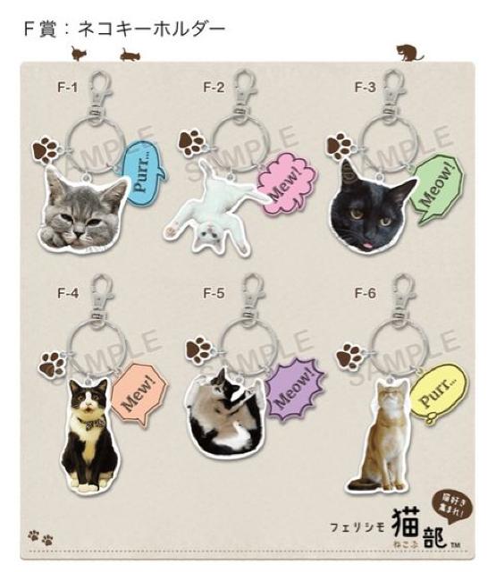 tFVLEܕilRANL[z_[BL   uh 