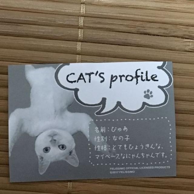 tFVLEܕilRANL[z_[BL  uh 