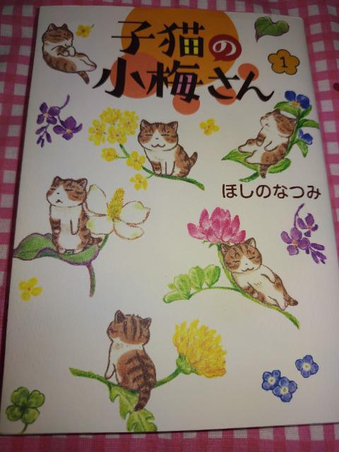 子猫の小梅さん@/ほしのなつみ < アニメ/コミック/キャラクター  子猫の小梅さん@/ほしのなつみ  < アニメ/コミック/キャラクターの