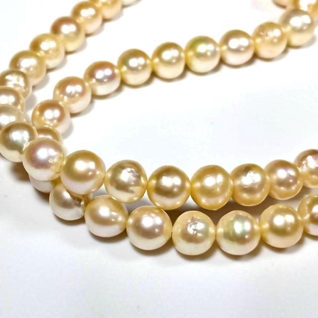 Of[V p[ lbNX 65cm ^lbNX 4mm`9.5mm