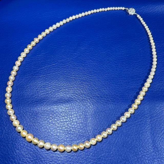 Of[V p[ lbNX 65cm ^lbNX 4mm`9.5mm