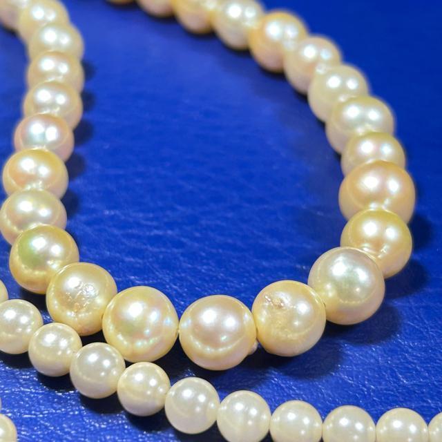 Of[V p[ lbNX 65cm ^lbNX 4mm`9.5mm