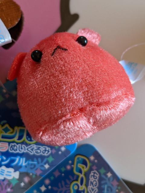 マリンパーク キラキラぬいぐるみ グランブルーミニマスコット アシカ メンダコ アンコウ B個セット < おもちゃ  マリンパーク キラキラぬいぐるみ グランブルーミニマスコット アシカ メンダコ アンコウ B個セット < おもちゃの