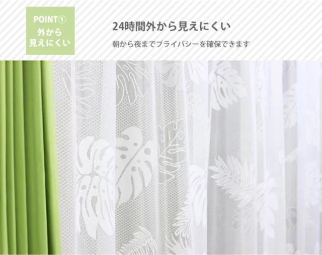 �������������X�e�����[�X�J�[�e����100�~176cm 2������