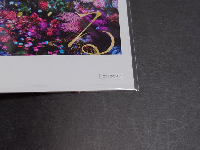 yVizAmazon.co.jpT AimerucU / vKWP / 񔄕i G  ^gObY 