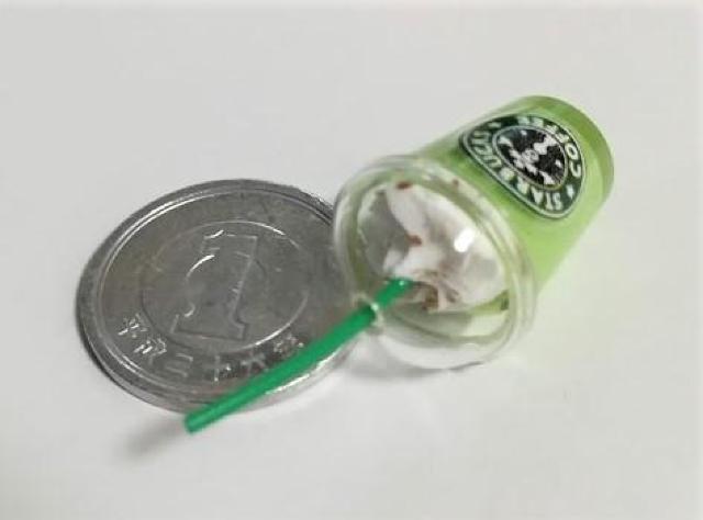 ~j`AX^[obNXO[X[W[h[nEX   