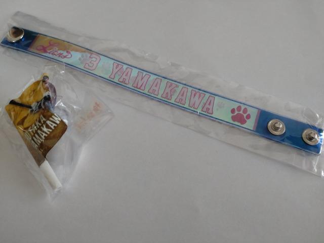 埼玉西武ライオンズ2022 球場ガチャ販売 ミニフラッグ・オーロラブレス 3 山川穂高選手 < レジャー/スポーツ  埼玉西武ライオンズ2022 球場ガチャ販売 ミニフラッグ・オーロラブレス 3 山川穂高選手  < レジャー/スポーツの