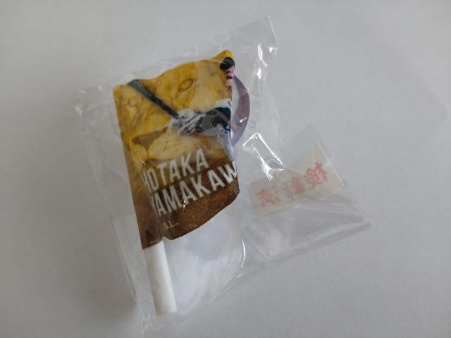 埼玉西武ライオンズ2022 球場ガチャ販売 ミニフラッグ・オーロラブレス 3 山川穂高選手 < レジャー/スポーツ  埼玉西武ライオンズ2022 球場ガチャ販売 ミニフラッグ・オーロラブレス 3 山川穂高選手 < レジャー/スポーツの