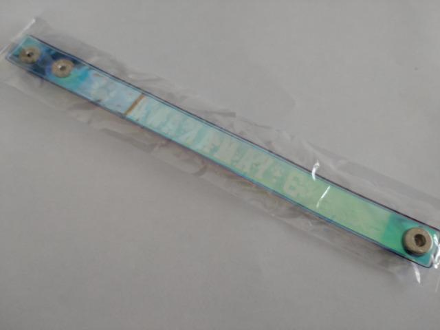 埼玉西武ライオンズ2022 球場ガチャ販売 ミニフラッグ・オーロラブレス 3 山川穂高選手 < レジャー/スポーツ  埼玉西武ライオンズ2022 球場ガチャ販売 ミニフラッグ・オーロラブレス 3 山川穂高選手 < レジャー/スポーツの