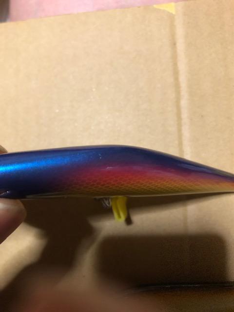 サスガミノー オリムピック < レジャー/スポーツ サスガミノー オリムピック < レジャー/スポーツの