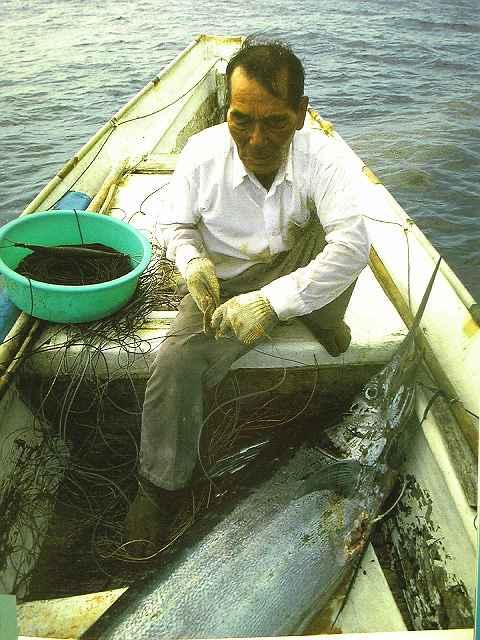 {ʐ^^uVlƊCv^ߍ1990VЁ  {/G 