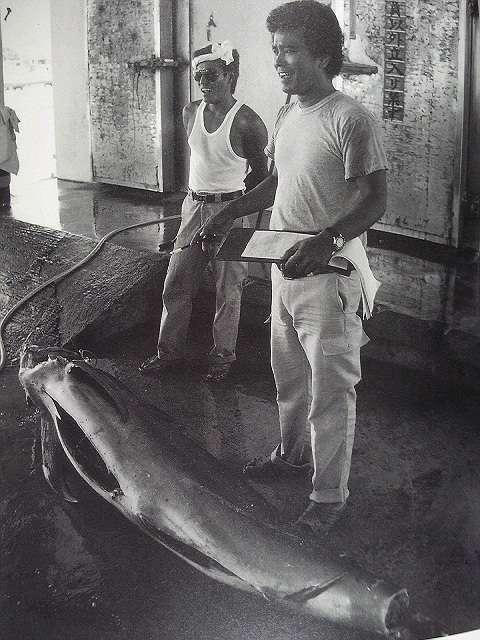 {ʐ^^uVlƊCv^ߍ1990VЁ  {/G 