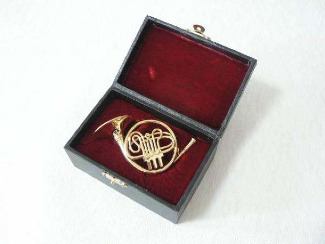 ホルンのミニチュア・24K金メッキ・ケース付属・新品 < ホビー ホルンのミニチュア・24K金メッキ・ケース付属・新品 < ホビーの