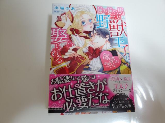 @jɁuႶn͖bqɛW`MgpłIH`v̂JCXg[V   {/G 