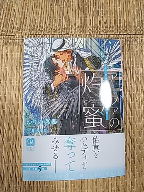 PPV@@At@̎ܖ`pubNXN[̗`@̍؟N   {/G 