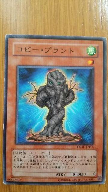 遊戯王【風・コピー・プラント】 < トレーディングカード  遊戯王【風・コピー・プラント】  < トレーディングカードの