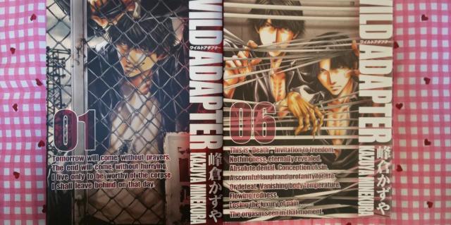 WILD ADAPTER Ch A_v^[ SU^q  Aj/R~bN/LN^[ 