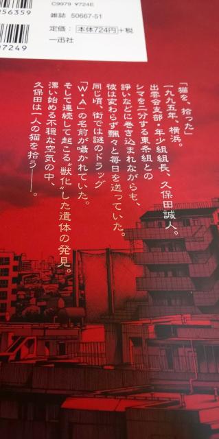 WILD ADAPTER Ch A_v^[ SU^q  Aj/R~bN/LN^[ 