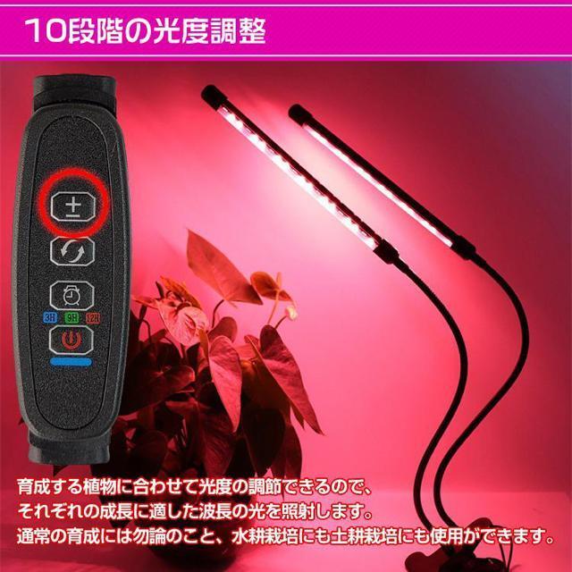 植物育成ライト LED 日照不足解消 キット アーム自由調節 水耕栽培 ランプ 室内栽培 ガーデン 温室 工事不要 < インテリア/ライフ 植物育成ライト LED 日照不足解消 キット アーム自由調節 水耕栽培 ランプ 室内栽培 ガーデン 温室 工事不要 < インテリア/ライフの