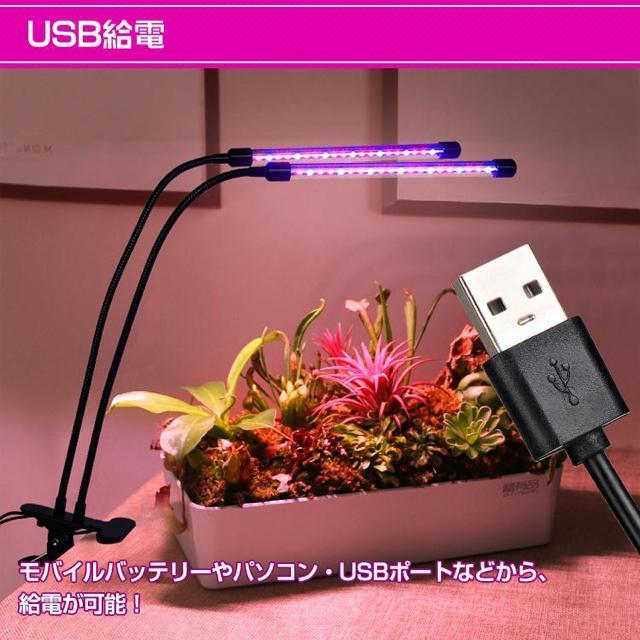 植物育成ライト LED 日照不足解消 キット アーム自由調節 水耕栽培 ランプ 室内栽培 ガーデン 温室 工事不要 < インテリア/ライフ 植物育成ライト LED 日照不足解消 キット アーム自由調節 水耕栽培 ランプ 室内栽培 ガーデン 温室 工事不要 < インテリア/ライフの